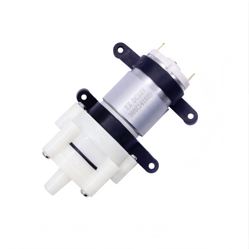 Pompa d'Acqua a Diaframma Mini - Mini Peristaltic Pump 12V recensione e prezzo