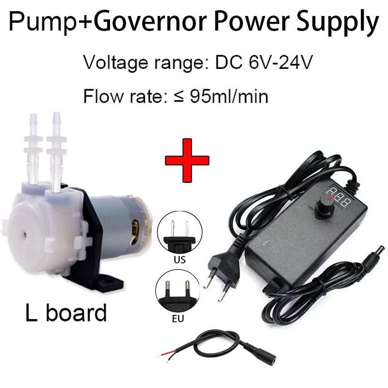 Piccola pompa peristaltica reg - Mini Peristaltic Pump 12V recensione e prezzo